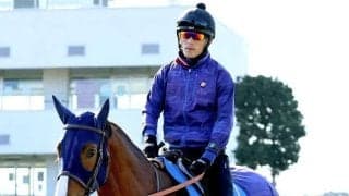 【かしわ記念】すべて３着以内と堅実なミッキーファイトの課題は　田中博調教師「経験する中で最も忙しい競馬に」