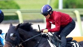 【京都新聞杯・水納の特注馬】５・９億円馬エムズビギンが楽しみ　陣営も「かなりビシビシやっています。ようやく...」と手応え