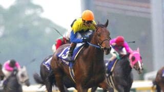 【競走伝】衝撃の５馬身差レコード勝ち！名手・安藤勝己騎手が勝利を確信していたキングカメハメハ降臨　０４年・ＮＨＫマイルＣ