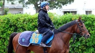 【エプソムＣ・三戸の特注馬】舞台・状態・鞍上と好条件そろう　初タイトル狙うサクラファレルは今後も追いかけたい大器