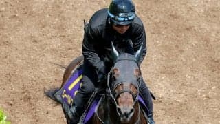 【ＮＨＫマイルＣ・ヤマタケの特注馬】上昇度ならこの馬！　松山弘平騎手が「明らかに良くなっています」と手応えのローベルクランツ