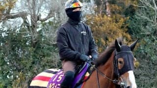 【注目馬動向】チェルヴィニアはヴィクトリアＭでダミアン・レーン騎手との新コンビ結成