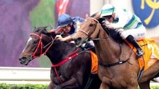 「２回も穴ぶち開けて...」昨年チャンピオンズマイルを１０番人気でＶ！　香港の「妖精」引退にネット感謝＆惜別の声
