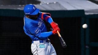 【日本ハム】カストロ代打で先制犠飛「大事な場面で仕事ができて良かった」