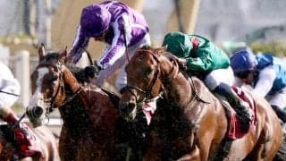 昨年の凱旋門賞２着馬ミニーホークが２６年Ｖ発進　貫禄の差し切り　今年のオッズは昨年Ｖのダリズに続く２番人気