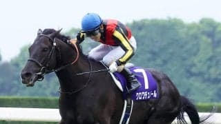 【注目馬動向】天皇賞・春でＧ１連勝のクロワデュノールは放牧へ　斉藤崇調教師「脚元も大丈夫。問題なさそうです」