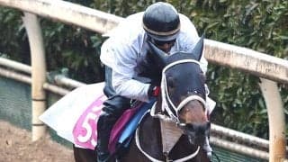 【注目馬動向】オークスに向かうスマートプリエールは引き続き原優介騎手　名古屋ＧＰ勝ちのアウトレンジは帝王賞へ　