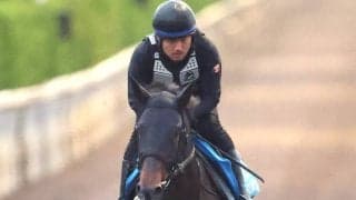 Ｇ１制覇で全米に衝撃与えたテーオーエルビスとケンタッキーダービー挑戦のワンダーディーンが帰国　ＪＲＡ発表