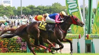【注目馬動向】プリンシパルＳ勝ちのメイショウハチコウ　引き続きディー騎手で日本ダービー参戦
