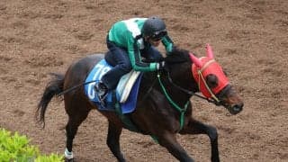 【注目馬動向・古馬】マイネルチケットはパラダイスＳ　高松宮記念５着のレイピアは横山武史騎手と函館ＳＳへ