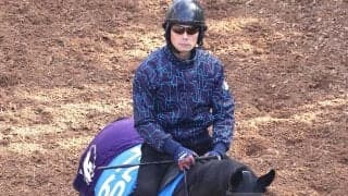 【エプソムＣ】前走１４着のセンツブラッドが巻き返しへ２つのカギ　斉藤崇調教師「ここでどんな競馬をするか」