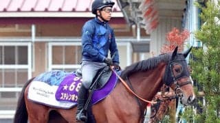 【エプソムＣ】桜花賞馬に復活の気配　ステレンボッシュが転厩２戦目で結果を出すか　陣営「毛づやが良くなった」