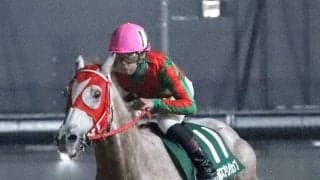 逃げ→後退→盛り返すも…単勝１・２倍のアストラビアンコが敗れる　２着で連勝は６でストップ　名古屋競馬・駿蹄賞