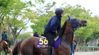 【ＮＨＫマイルＣ】ギリーズボールは桜花賞をパスした効果あり　手塚久調教師「フレッシュな気持ちがある」