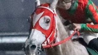 「お前だったのか、オルフェの後継は」「凄い競馬」名古屋競馬の単勝１・２倍、大本命馬のレースぶりにネット騒然　駿蹄賞２着のアストラビアンコ