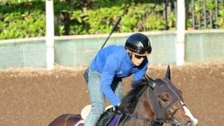【ＮＨＫマイルＣ・超ブル診断データ編】とにかく荒れるＧ１　Ｖ候補は２頭に絞れる　アスクイキゴミ＆ロデオドライブ