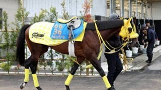 【かしわ記念】ウィルソンテソーロがＶ　表彰式で山下智久と握手の川田将雅騎手も場内沸かす「山Ｐ待ちでしょうが、すみません」