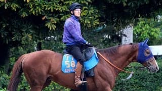 【かしわ記念】単勝１・７倍のミッキーファイトは最後にかわされ２着　ルメール騎手「休み明けのぶん最後切れなかった」
