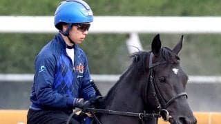 【京都新聞杯】良血馬ベレシートがダービーへ勝負駆け　斉藤崇調教師「すごく自信には…」と手応えを深める理由