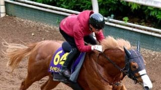 【ＮＨＫマイルＣ・追い切り】３歳マイル王へダイヤモンドノットが坂路で万全の仕上がり　福永調教師「状態は前回よりいい」