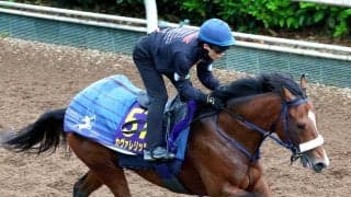 【ＮＨＫマイルＣ・追い切り】復権へ気合乗り上々　カヴァレリッツォと新コンビの西村淳也騎手が初コンタクト「雰囲気がある」