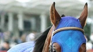【兵庫ＣＳ】１番人気サトノボヤージュが重賞初制覇　戸崎圭太騎手「怖いなと思い仕掛けを早めたんです」
