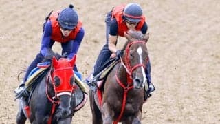 【ＮＨＫマイルＣ】加藤征調教師も「状態は非常にいい」と声弾ませる　フクチャンショウが超抜の手応えで併入