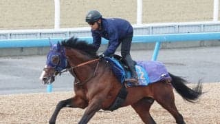 【注目馬動向】チャンピオンズ＆チャターカップに参戦予定のローシャムパークはヒュー・ボウマン騎手と初コンビ