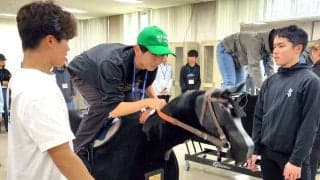 美浦トレセンで中高生２０人が馬の仕事を体験　木馬の騎乗も　“先生役”の小林美駒騎手は「もっと馬のことを知ってもらえたら」