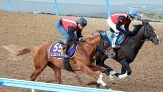 【ＮＨＫマイルＣ・トク捜リレー】５ハロンの時計比較をしても明らか！エコロアルバは右肩上がり　田村調教師も「抜群」