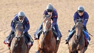 【ＮＨＫマイルＣ】サンダーストラックはＷコースで反撃態勢　木村調教師「馬が自信を取り戻してきた」