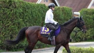 【注目馬動向】報知杯弥生賞勝ち馬バステールは日本ダービーへ　シルク・ホースクラブが発表
