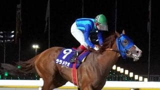 【船橋競馬】ララメテオが東京湾Ｃ制覇　池谷 直樹氏を父に持つ池谷匠翔騎手とともに重賞初制覇