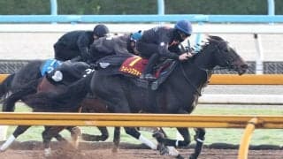 【ヴィクトリアＭ・１週前】昨年と同じ金鯱賞から転戦のクイーンズウォーク　ラスト１０秒８に陣営「よく動けていたようです」