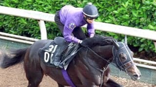 【京都新聞杯】５・９億円のエムズビギンは坂路で重厚感あふれる動き　友道調教師「ようやく動けるようになってきた」