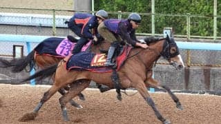 【ヴィクトリアＭ・１週前】Ｇ１馬復活へハードトレを敢行！　チェルヴィニアはコース１周の併せ馬で自己新マーク