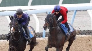 【エプソムＣ】絶好調の津村明秀騎手が「かなりいい動き」と絶賛！　カラマティアノスが馬なりでラスト１１秒２