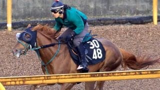 【京都新聞杯】ホープフルＳ４着のアーレムアレスは好馬体でパワフルな伸び　橋口調教師「京都替わりはいいのでは」