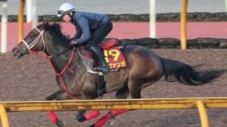【ヴィクトリアマイル・１週前】ラヴァンダがソフト調整で反撃へ　岩田望来騎手「一変してもいいと思います」
