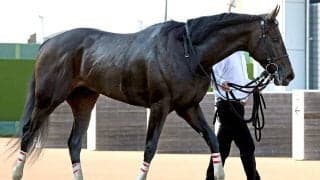 ケンタッキーダービーで５着に健闘したダノンバーボンが帰国　競馬学校で検疫へ