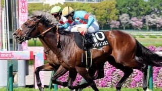 【注目馬動向】大阪-ハンブルクＣを制したウィクトルウェルスは目黒記念で重賞初挑戦
