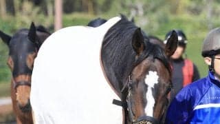 【注目馬動向】オークスへドリームコアが美浦トレセンに帰厩　萩原調教師「しっかり調整していきます」　鞍上は未定