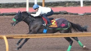 【ヴィクトリアＭ・１週前】武豊騎手と４戦連続コンビのエリカエクスプレス　杉山晴調教師「折り合いもついて…」