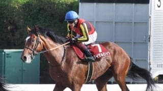 【注目馬動向】青葉賞２着タイダルロックは日本ダービー断念　左前脚の第一指骨骨折で全治３か月の診断　