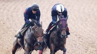 【ヴィクトリアＭ・１週前】超抜の伸び！　牝馬２冠エンブロイダリーが４馬身先着　森一調教師「コントロールも許容範囲」