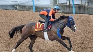【ヴィクトリアＭ・１週前】重賞２着７回ボンドガールは悲願の初タイトルへ　手塚貴久調教師「動き的にはあれでいい」