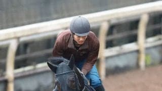 【注目馬動向】毎日杯勝ち馬アルトラムスは日本ダービーへ　皐月賞１８着から巻き返しを狙う