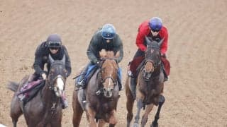 【ヴィクトリアＭ・１週前】力強く伸びたニシノティアモが１１秒０　上原佑調教師「手応えに余裕がある中であの時計」
