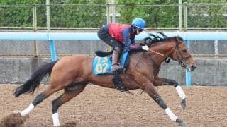 【新潟大賞典・１週前】重賞２着４回ドゥラドーレスは悲願の初タイトルへ　宮田調教師「良いときと遜色ない」