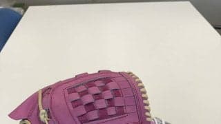【阪神】SSKが毎年恒例「母の日」仕様の用具を西勇輝らに提供　ミズノも佐藤輝明らに提供